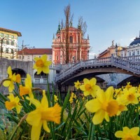 pomlad, tromostovje, ljubljana