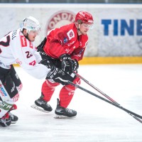 jesenice renon elo 22 dj