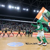 cedevita olimpija navijacice zmajcice af 7