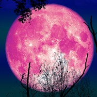 aprilska roza luna