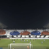 hajduk žv