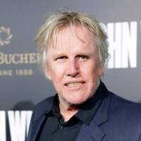 https __cdn.cnn.com_cnnnext_dam_assets_220820160201-gary-busey-file