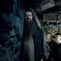 Robbie Coltrane, Hagrid, Harry Potter