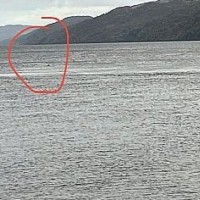 Nessie