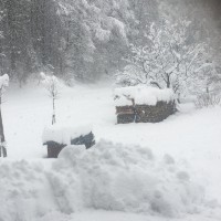 sneg, sneženje, Koroška