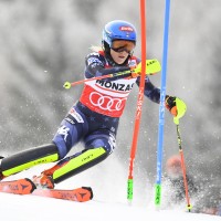 shiffrin