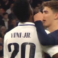 gavi vinicius