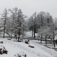 bohinj, sneg, sneženje