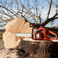 chainsaw-4815949_1920