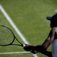 venus williams 