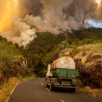 La Palma, požar