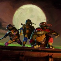 Ninja Želve, znane tudi kot Teenage Mutant Ninja Turtles (TMNT), so se prvič pojavile v ameriških st