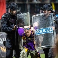 navijac maribor viola