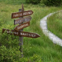 Hautes Fagnes, High Fens