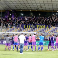 maribor viole