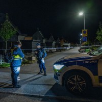 Švedska, tolpe, streljanje