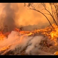 Požari so zajeli Avstralijo