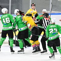 sz olimpija vienna capitals 