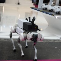 Robotski pes