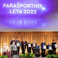 sportnik leta 1