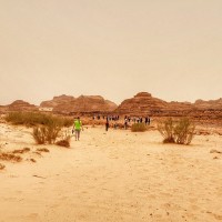 Puščava Sinaj