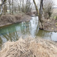 gnojevka, postojna, korotan, onesnaženje