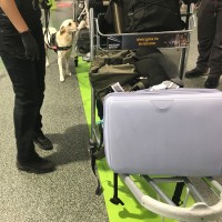 prtljaga letališče