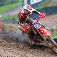 tim gajser