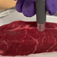laboratorijski meso