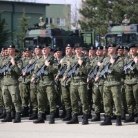 Srbska vojska