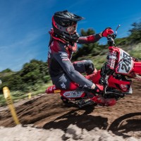 tim gajser