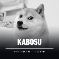 kabosu-naslovka