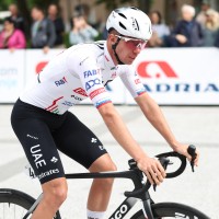 domen novak