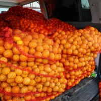 mandarine prodaja moški prodajalec