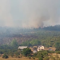 drvar, požar