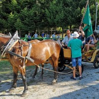 janko bukovec, kočija, konj