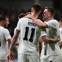 elsnik slovenija sesko stozice