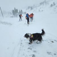 iskanje slovenskega smučarja, obertauern