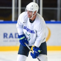 anze kopitar 22