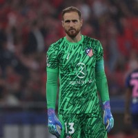 jan oblak 24