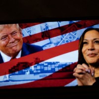 trump, harris