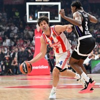 crvena zvezda partizan teodosic