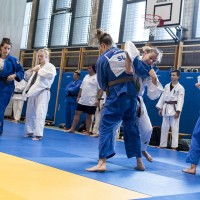 judo