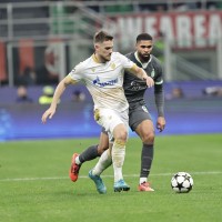 timi max elsnik