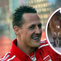 Michael Schumacher