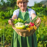 perdih mamka glavna