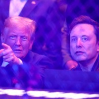 donald Trump, Elon Musk