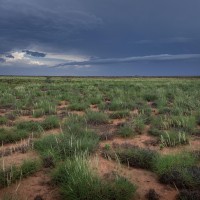 Pilbara