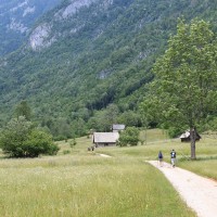 Bohinj