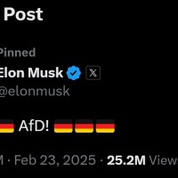 musk afd